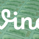 Vine Stars' Secret Plan to Save App: Give Us a Million Dollars